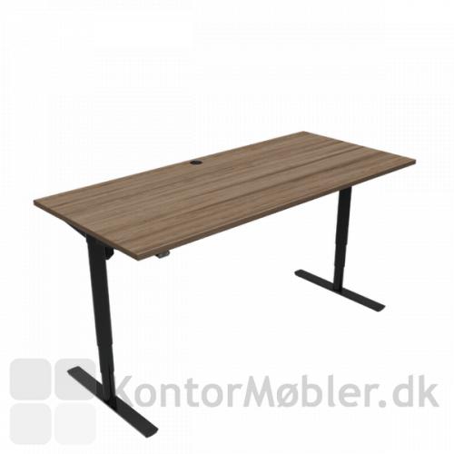 Conset 501-49 hæve sænke bord med bordplade størrelsen 180x80 cm
