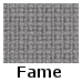 Fame (0,-) (05)
