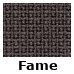 Fame (300,-)
