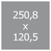 250,8 x 120,5 cm (4116,-) (27329)